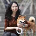 Xiaomi Moestar 2.6m trela de cão retrátil